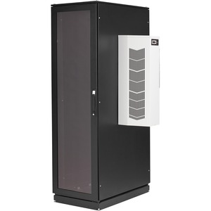 Black Box ClimateCab NEMA 12 Server Cabinet with 12000-BTU AC - 42U, M6 Rails, 230V