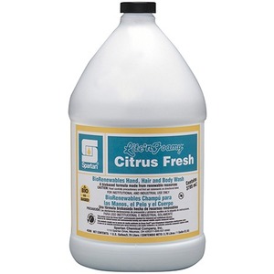 Lite'N Foamy Citrus Fresh, 1 Gl