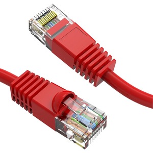 Axiom 6-INCH CAT6 UTP 550mhz Patch Cable Snagless Molded Boot (Red)