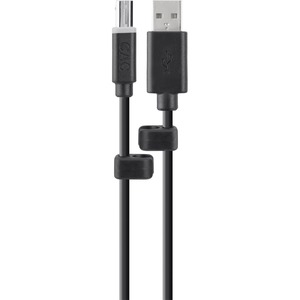 Belkin USB A/B Cable