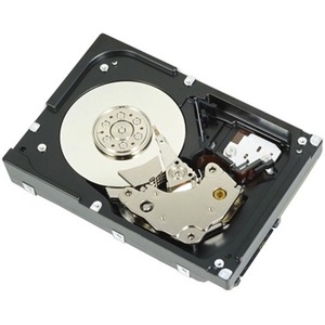 Dell 1 TB Hard Drive - 3.5" Internal - Near Line SAS (NL-SAS)