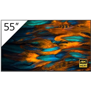 Sony Pro FW55BZ40H 55-inch BRAVIA 4K Ultra HD HDR Professional Display