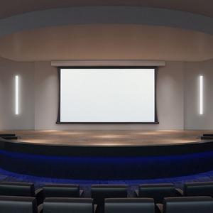 Draper Acumen 161" Electric Projection Screen