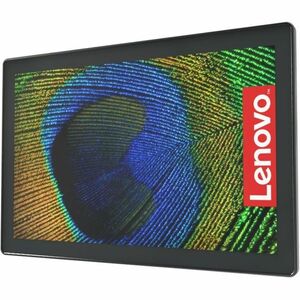 Lenovo inTOUCH101B 10.1" LCD Touchscreen Monitor