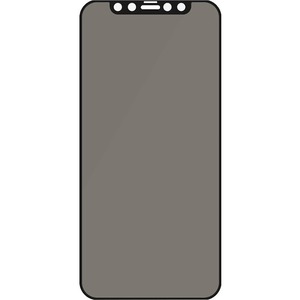 PanzerGlass Original Privacy Screen Protector Black, Crystal Clear