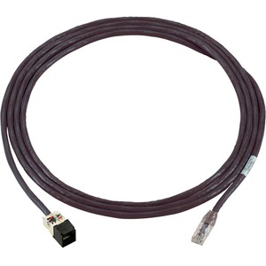 Panduit RJ-45 Patch Network Cable