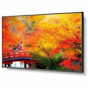 Sharp NEC Display MA491-MPI4E Digital Signage Display/Appliance