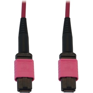 Tripp Lite 100G Multimode 50/125 OM4 Fiber Optic Cable (12F MTP/MPO-PC F/F), LSZH, Magenta, 20 m (65.6 ft.)