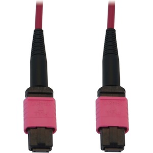 Tripp Lite 100G Multimode 50/125 OM4 Fiber Optic Cable (12F MTP/MPO-PC F/F), LSZH, Magenta, 25 m (82 ft.)