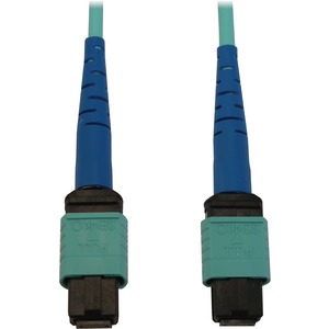 Tripp Lite by Eaton N846B-10M-24-P 10 m Fibre Optic Network Cable - 1 Piece 1 Tripp Lite by Eaton N846B-10M-24-P 10 m Fibre Optic Network Cable - 1 Piece
