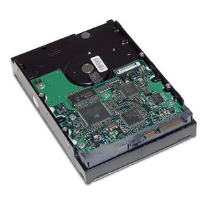 HPE Ingram Micro Sourcing 750 GB Hard Drive - 3.5" Internal - SATA