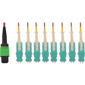 Tripp Lite 40/100/400G Multimode 50/125 OM4 Breakout Fiber Optic Cable (16F MTP/MPO-APC to 8x Duplex SN-PC F/M), LSZH, Magenta, 2 m (6.6 ft.)