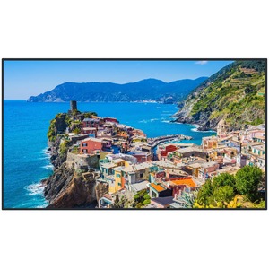 Panasonic TH-65EQ2W 65" Class 4K Digital Display