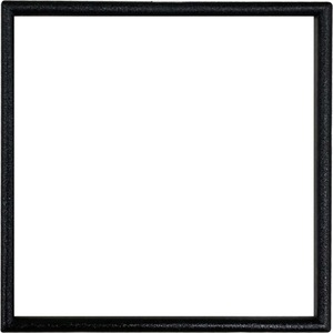 Tripp Lite Color Ring for European-Style Insert, 45 x 45 mm, Black