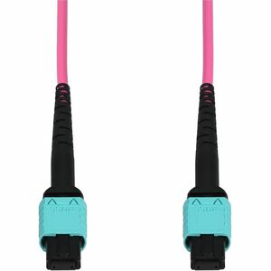 AddOn 10m MPO/UPC to MPO/UPC Magenta (Erika Violet) OM4 Armored OFNP (Plenum-Rated) 12-Strand MMF (Multi Mode) Fiber Patch Cable, 50/125