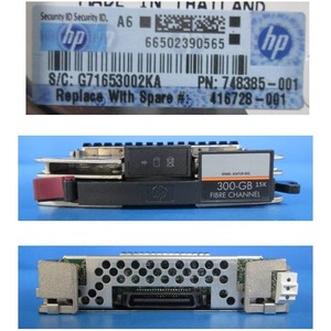 HP-IMSourcing DS 300 GB SAN Hard Drive - Internal - Fibre Channel