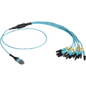 Black Box MTP OM3 Fiber Optic Harness Cable - Plenum, 12-Strand