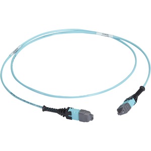 Black Box MTP OM3 Fiber Optic Trunk Cable - Plenum, 24-Strand, Straight-Pinned