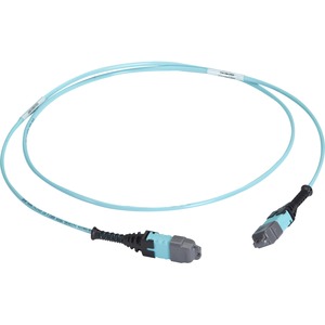 Black Box MTP OM3 Fiber Optic Trunk Cable - Plenum, 24-Strand, Type A