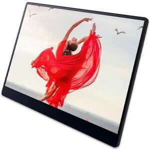 Ricoh 150BW 15.6" OLED Touchscreen Monitor - 1 ms