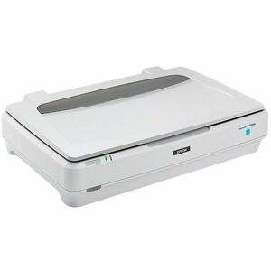 Epson Expression 13000XL Large Format Flatbed/Film Scanner - 2400 dpi Optical