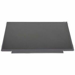 Dell Notebook Screen