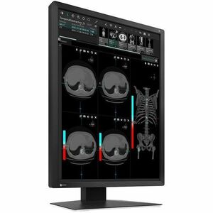 EIZO RadiForce MX217-BK 21" Class UXGA LED Monitor - 3:4 - Black