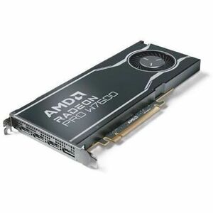Dell AMD Radeon Pro W7600 Graphic Card - 8 GB GDDR6 - Full-height