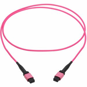 Eaton Tripp Lite Series 100G Multimode 50/125 OM4 Fiber Optic Cable (12F MTP/MPO-PC F/F), OFNP, Magenta, 2 m (6.6 ft.), TAA