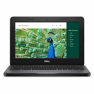 Dell Chromebook 3000 3120 11.6" Clamshell Chromebook - HD - Intel N-Series N100 - 8 GB - 64 GB Flash Memory - English (US) Keyboard - Gray