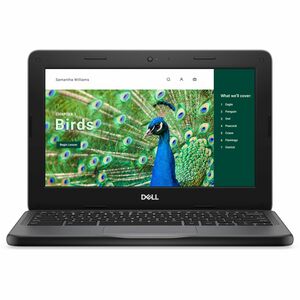 Dell Chromebook 3000 3120 11.6" Touchscreen Convertible 2 in 1 Chromebook - HD - Intel N100 - 8 GB - 64 GB Flash Memory - English (US) Keyboard - Gray