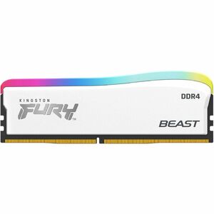 OEM Sourcing FURY Beast RAM Module