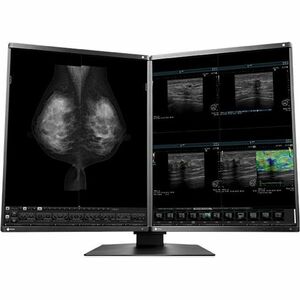 EIZO RadiForce RX570 21" Class QSXGA LED Monitor - 4:5 - Black