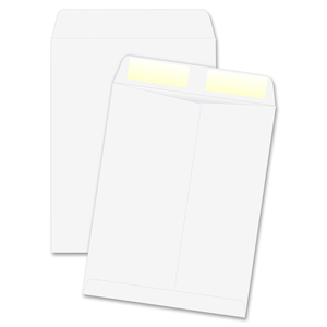 Catalog Envelope, Plain, 28Lb, 9x12 , 100/BX, White