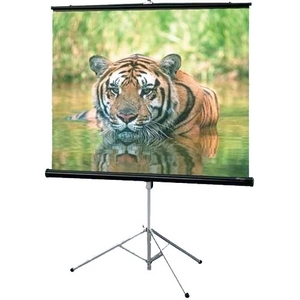 Draper Consul Portable Projection Screen