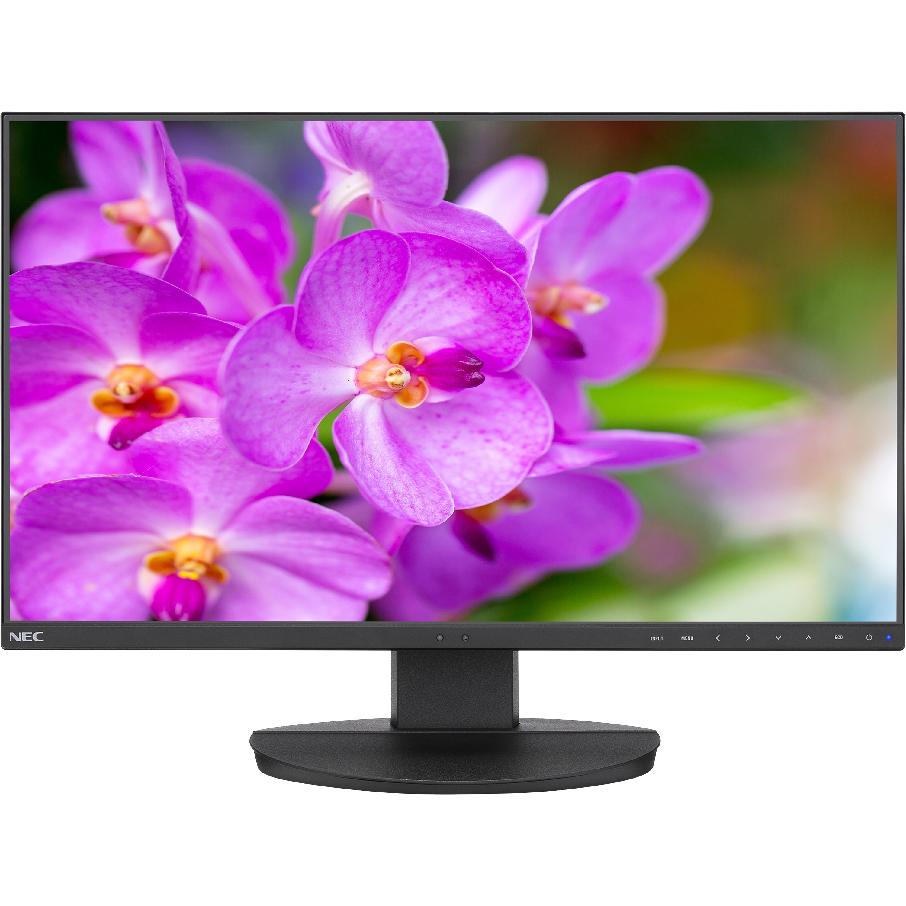 NEC Display MultiSync EA241F-H-BK 23.8" Full HD WLED LCD Monitor - 16:9 - Black_subImage_1