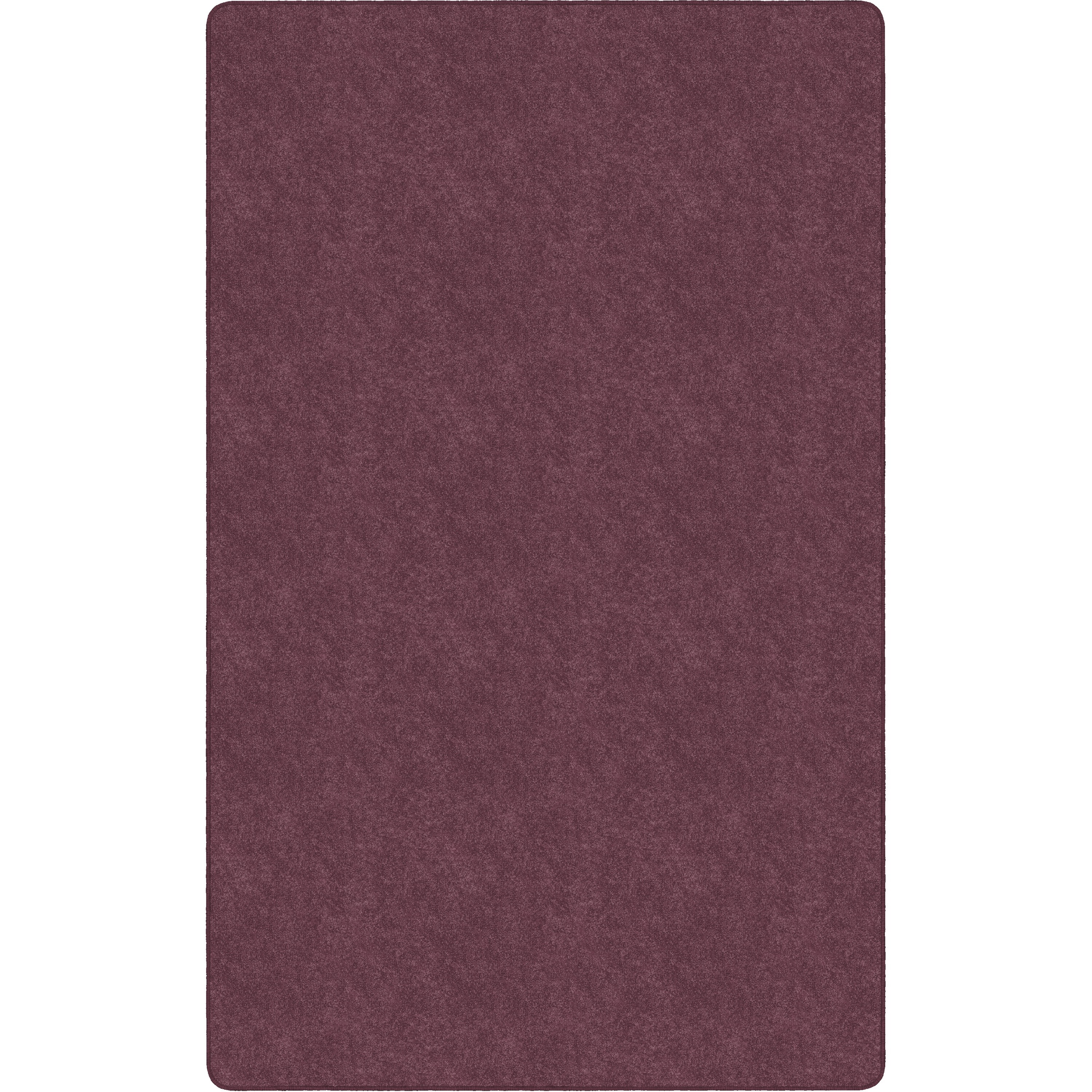 Flagship Carpets Amerisoft Solid Color Rug