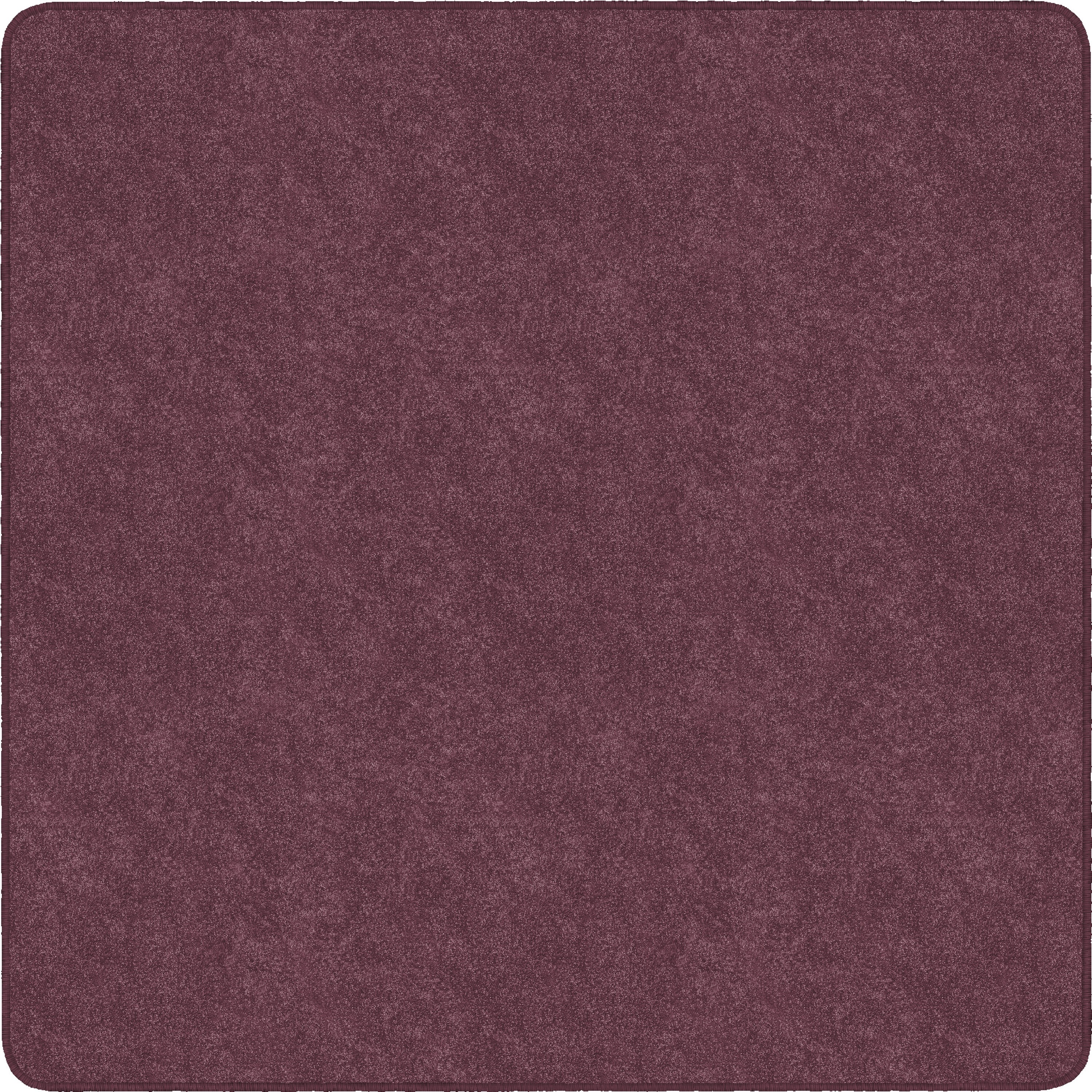 Flagship Carpets Amerisoft Solid Color Rug