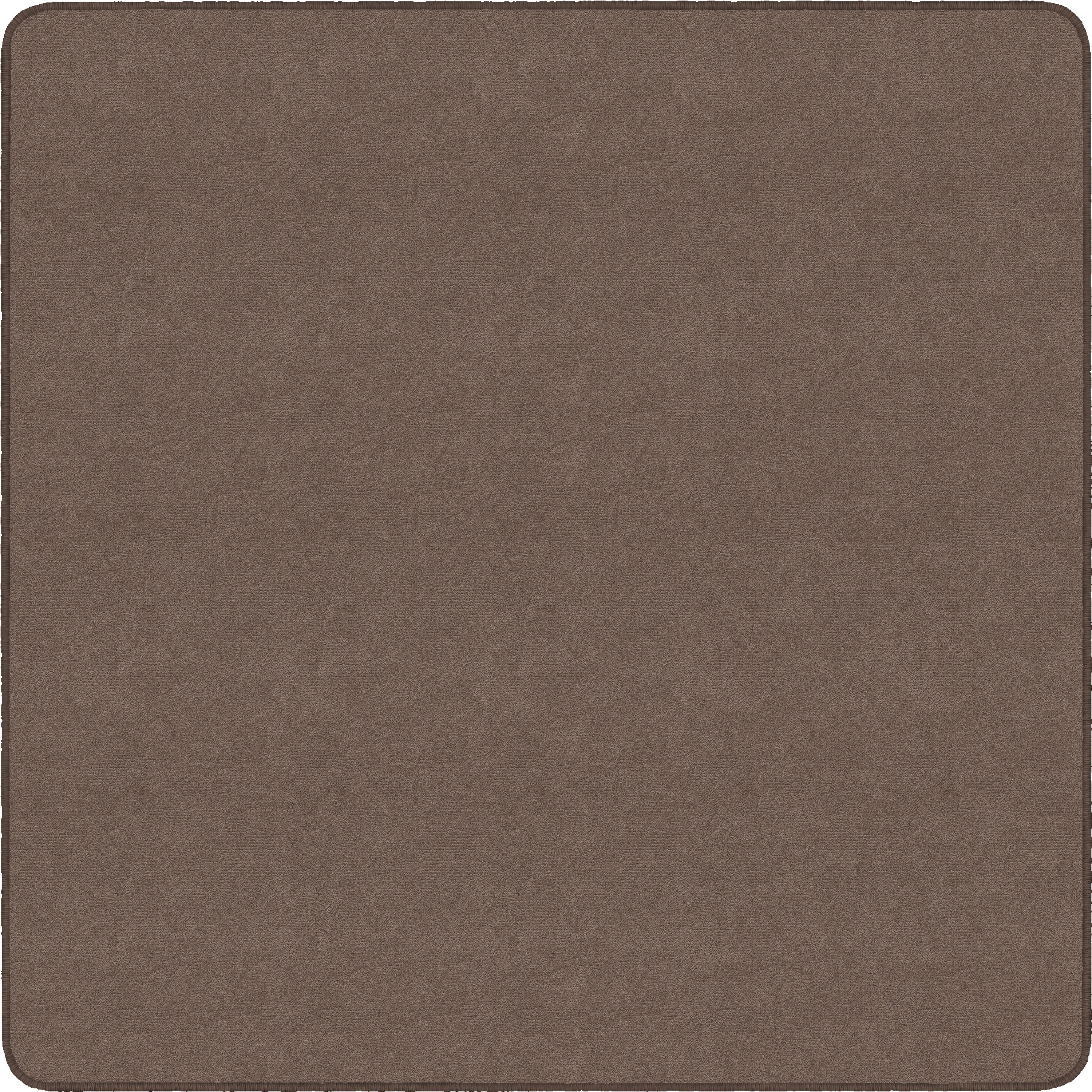 Flagship Carpets Ameristrong Solid Color Rug