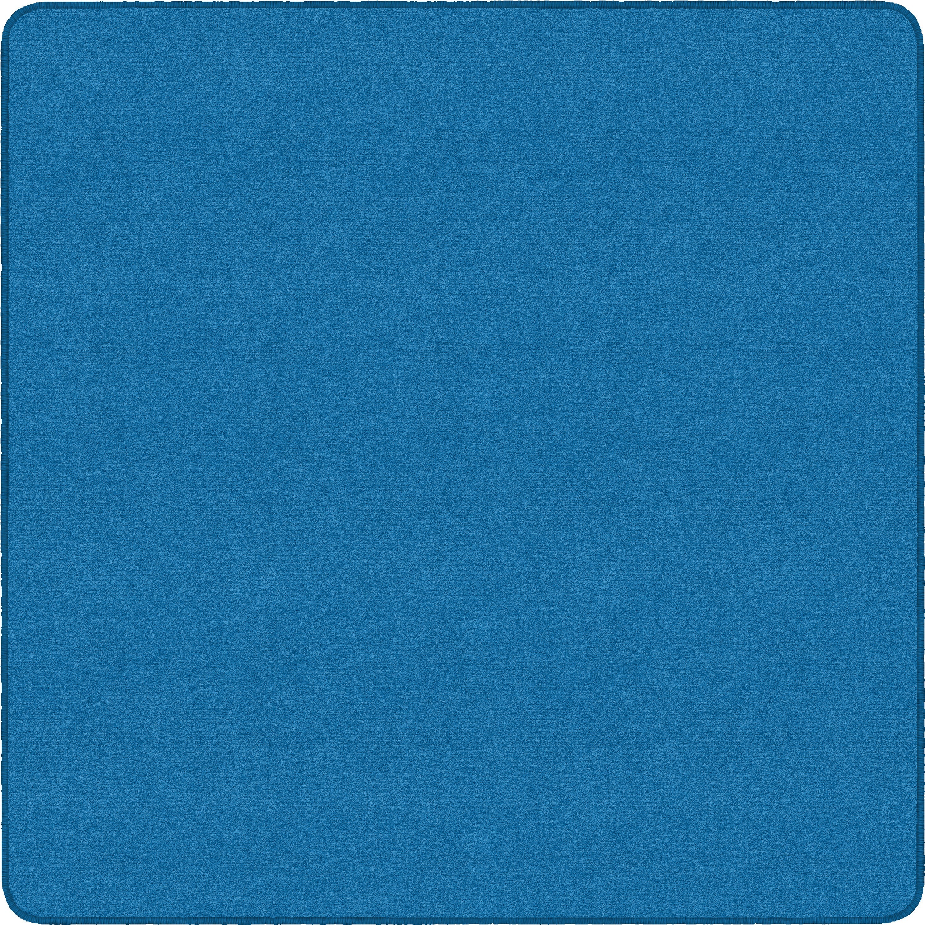 Flagship Carpets Ameristrong Solid Color Rug