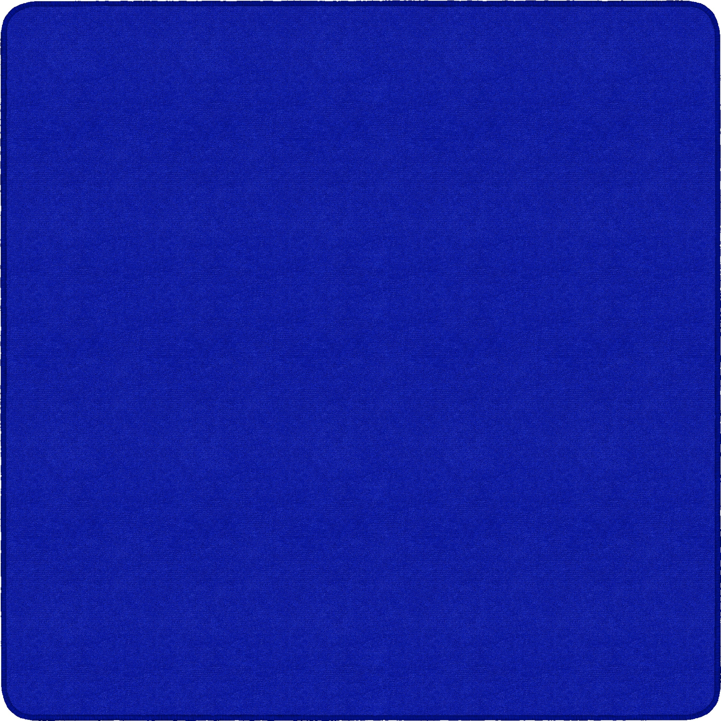 Flagship Carpets Ameristrong Solid Color Rug