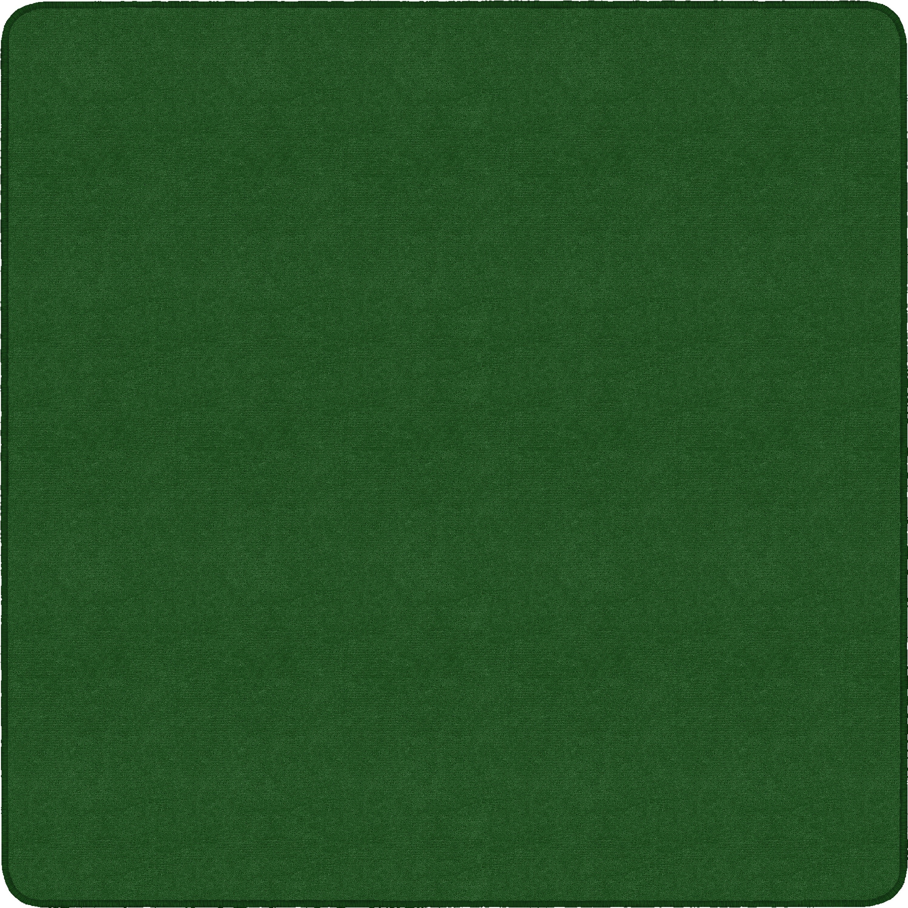 Flagship Carpets Ameristrong Solid Color Rug