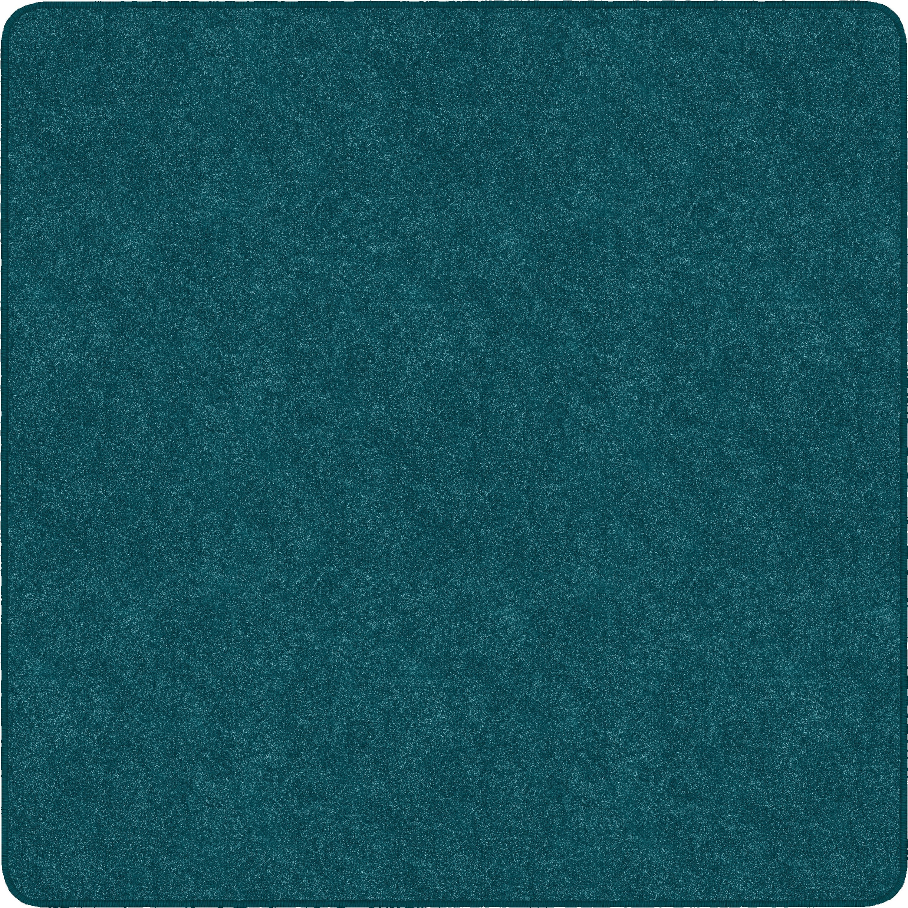 Flagship Carpets Amerisoft Solid Color Rug