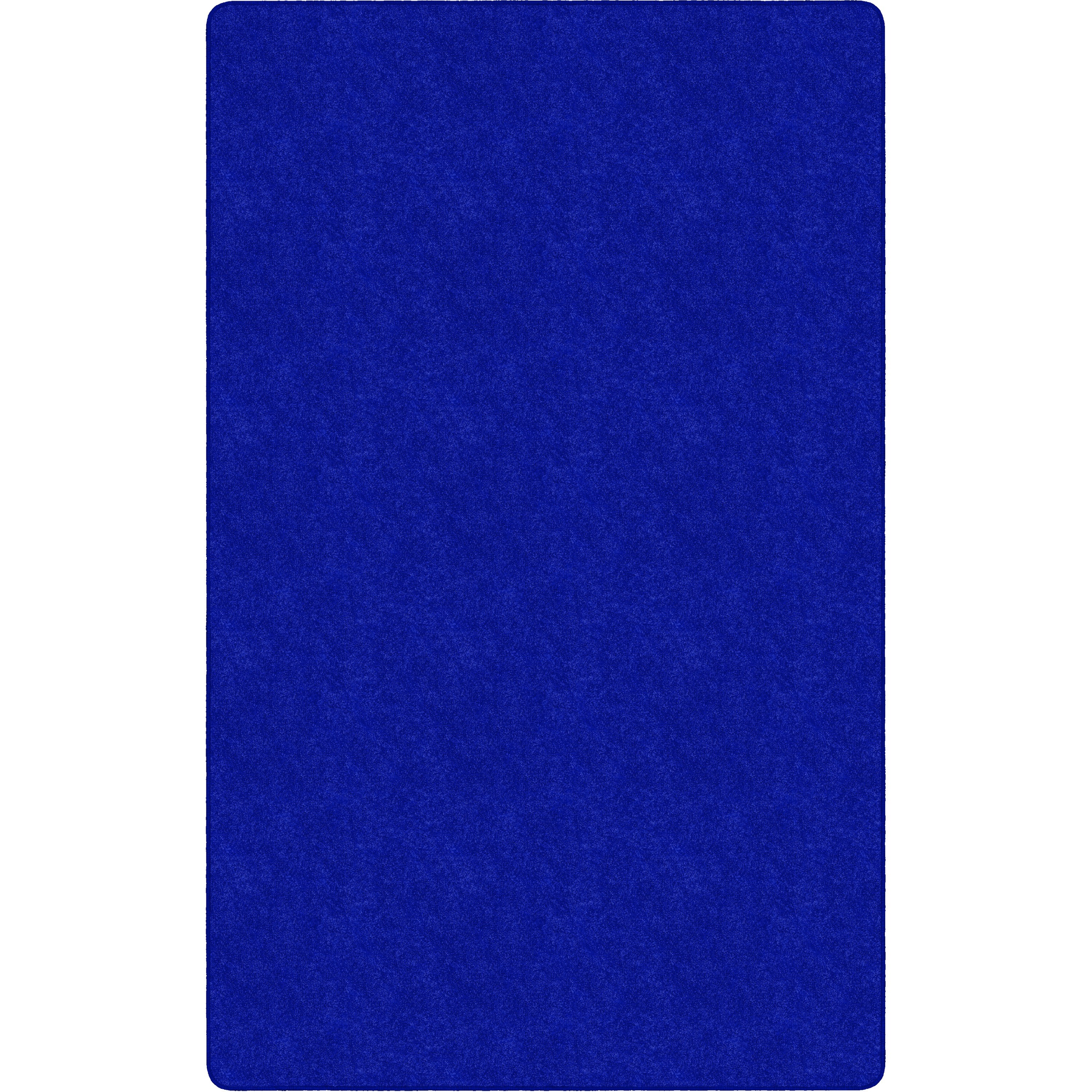 Flagship Carpets Amerisoft Solid Color Rug