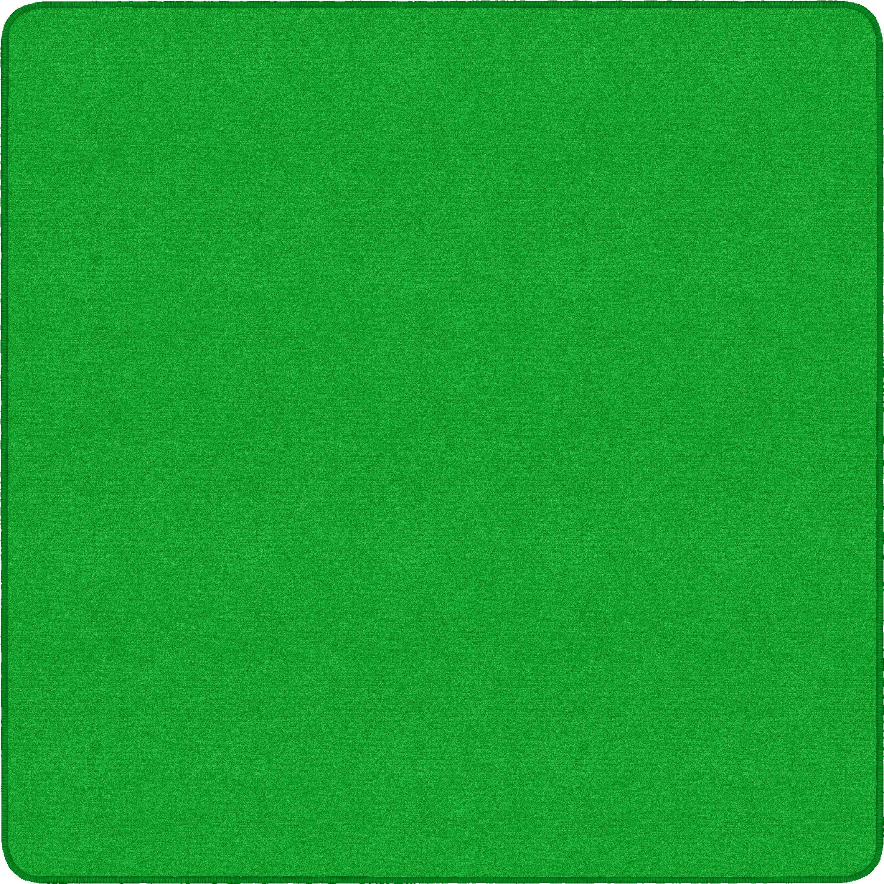 Flagship Carpets Ameristrong Solid Color Rug