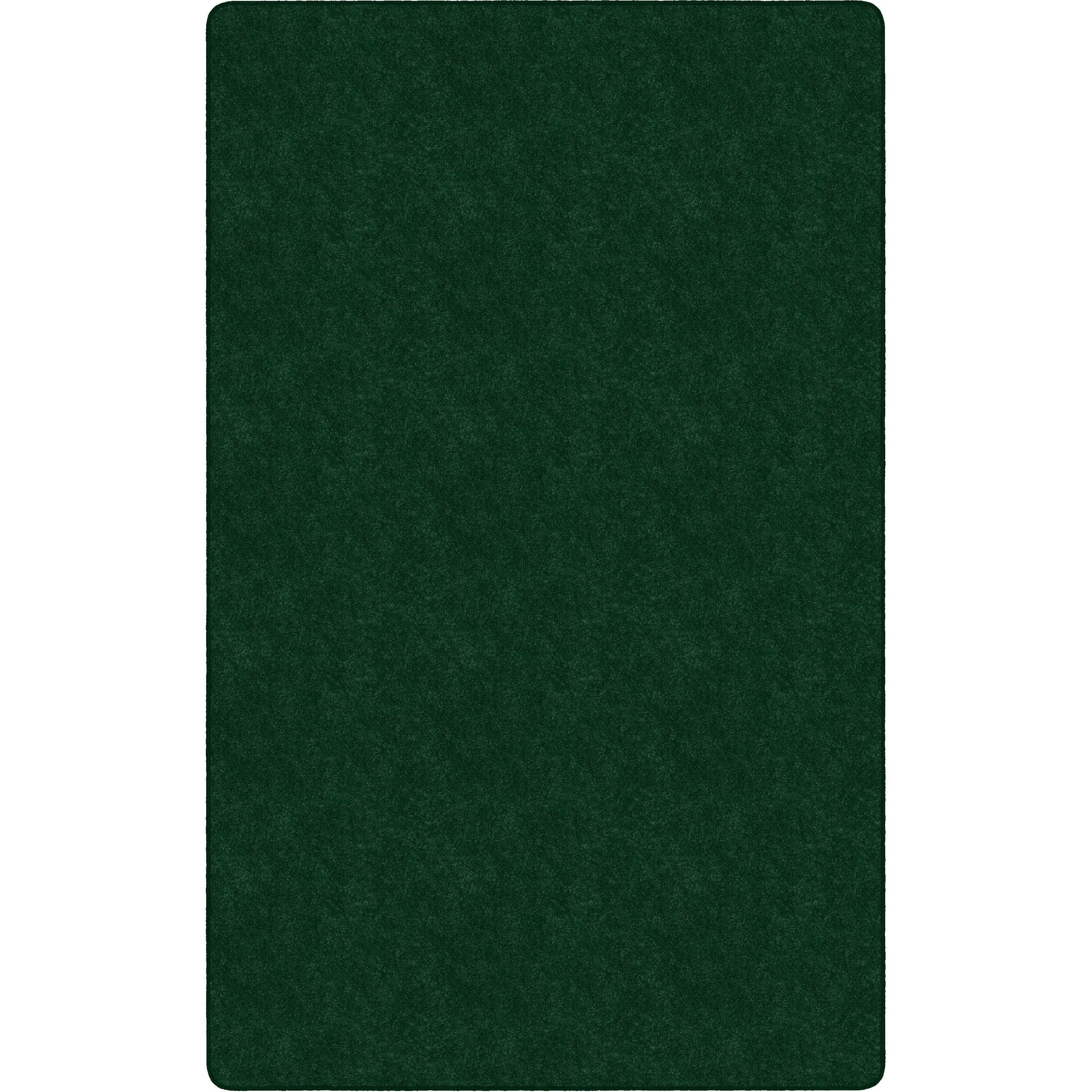 Flagship Carpets Amerisoft Solid Color Rug