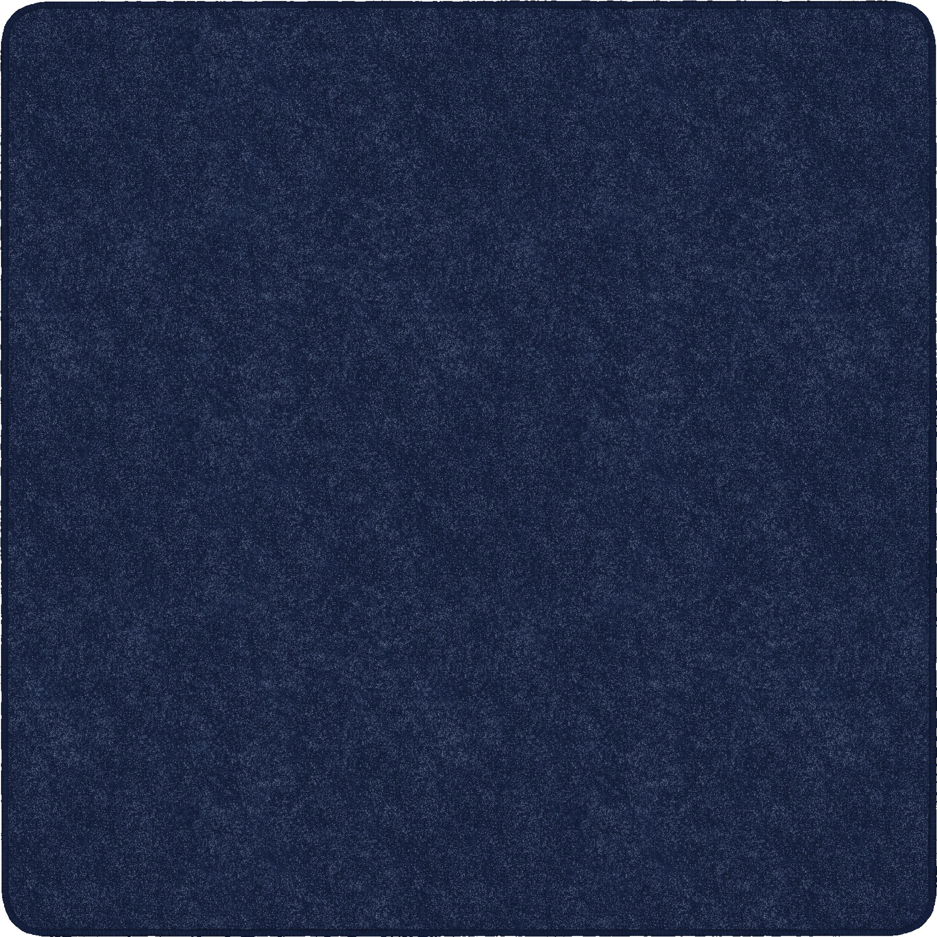 Flagship Carpets Amerisoft Solid Color Rug