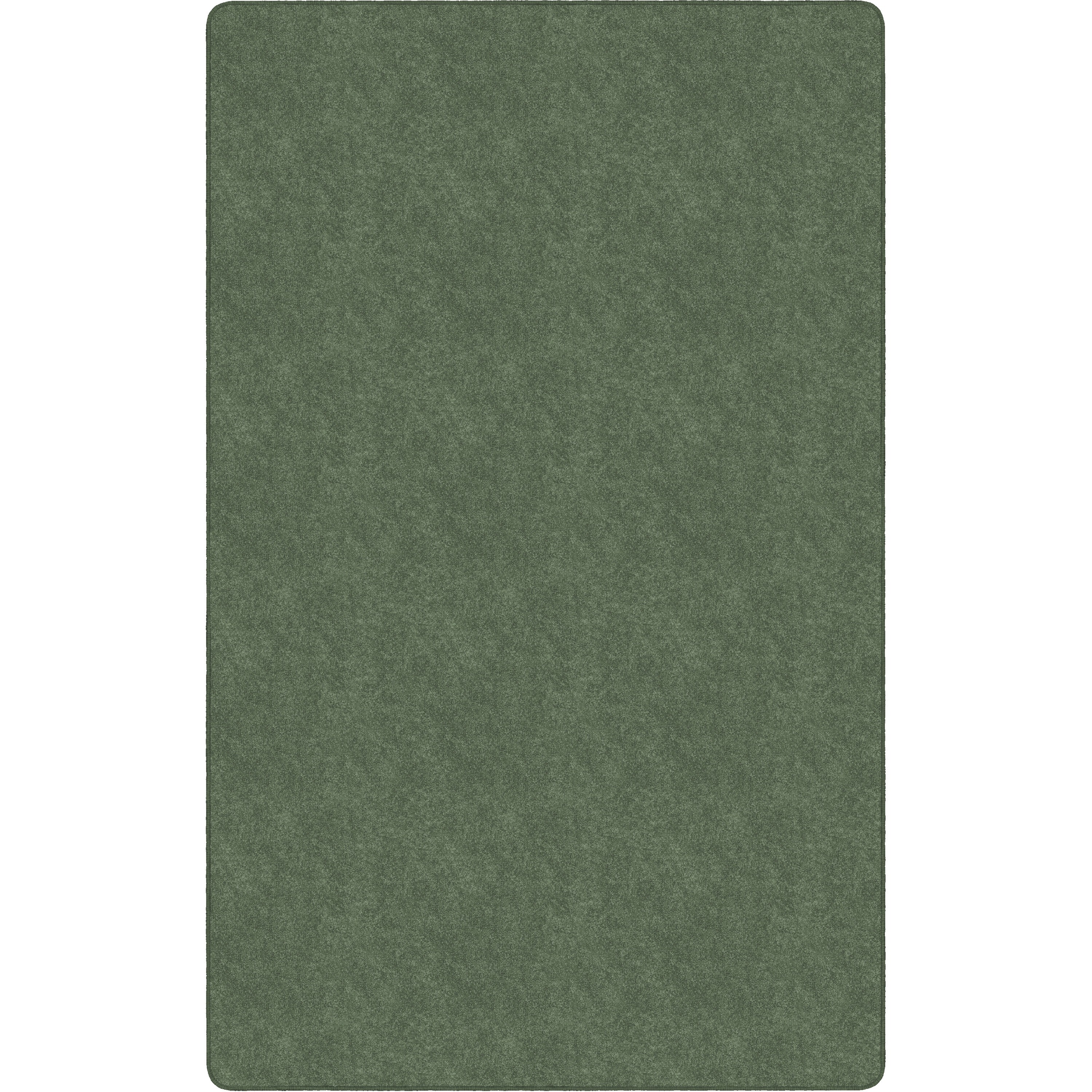 Flagship Carpets Amerisoft Solid Color Rug