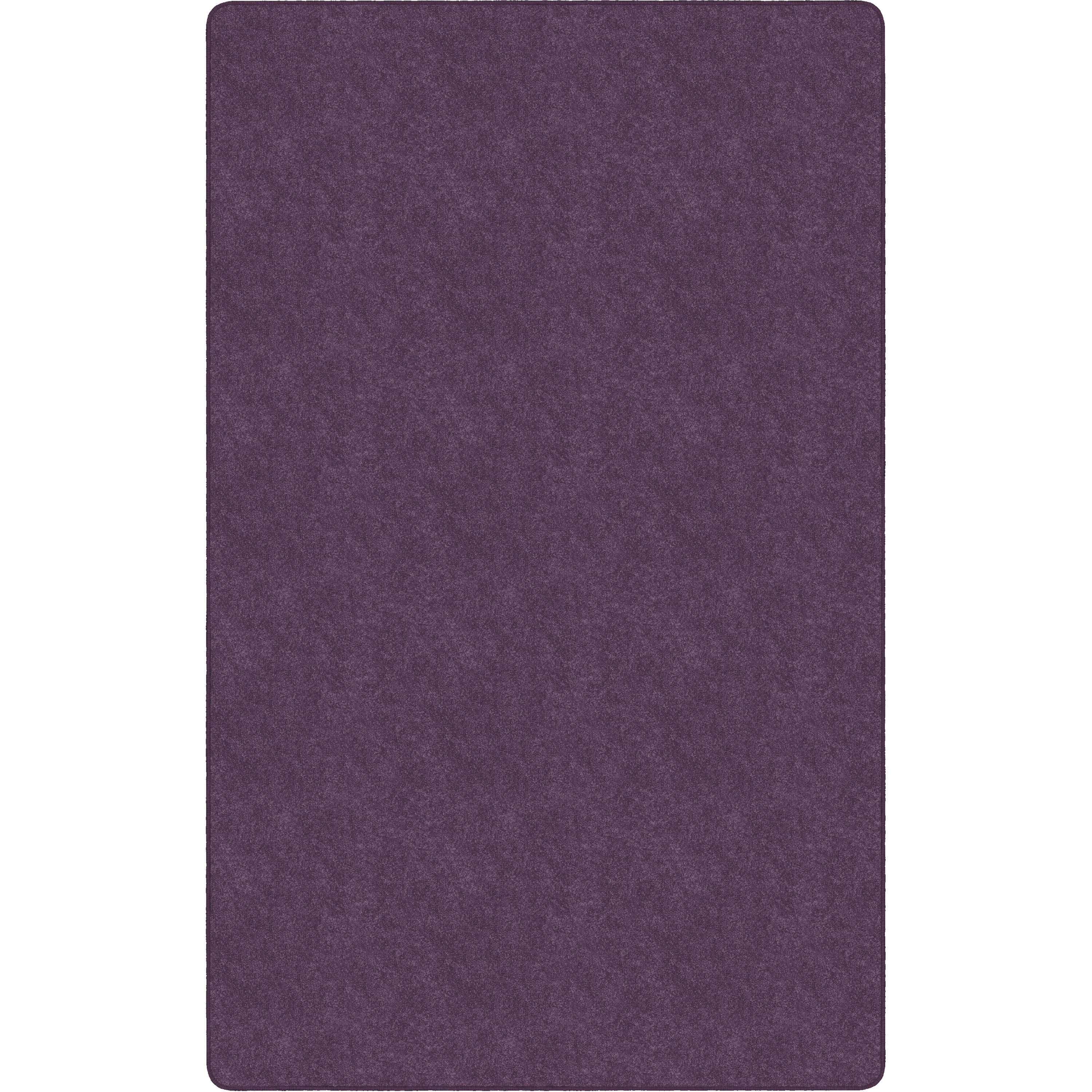 Flagship Carpets Amerisoft Solid Color Rug