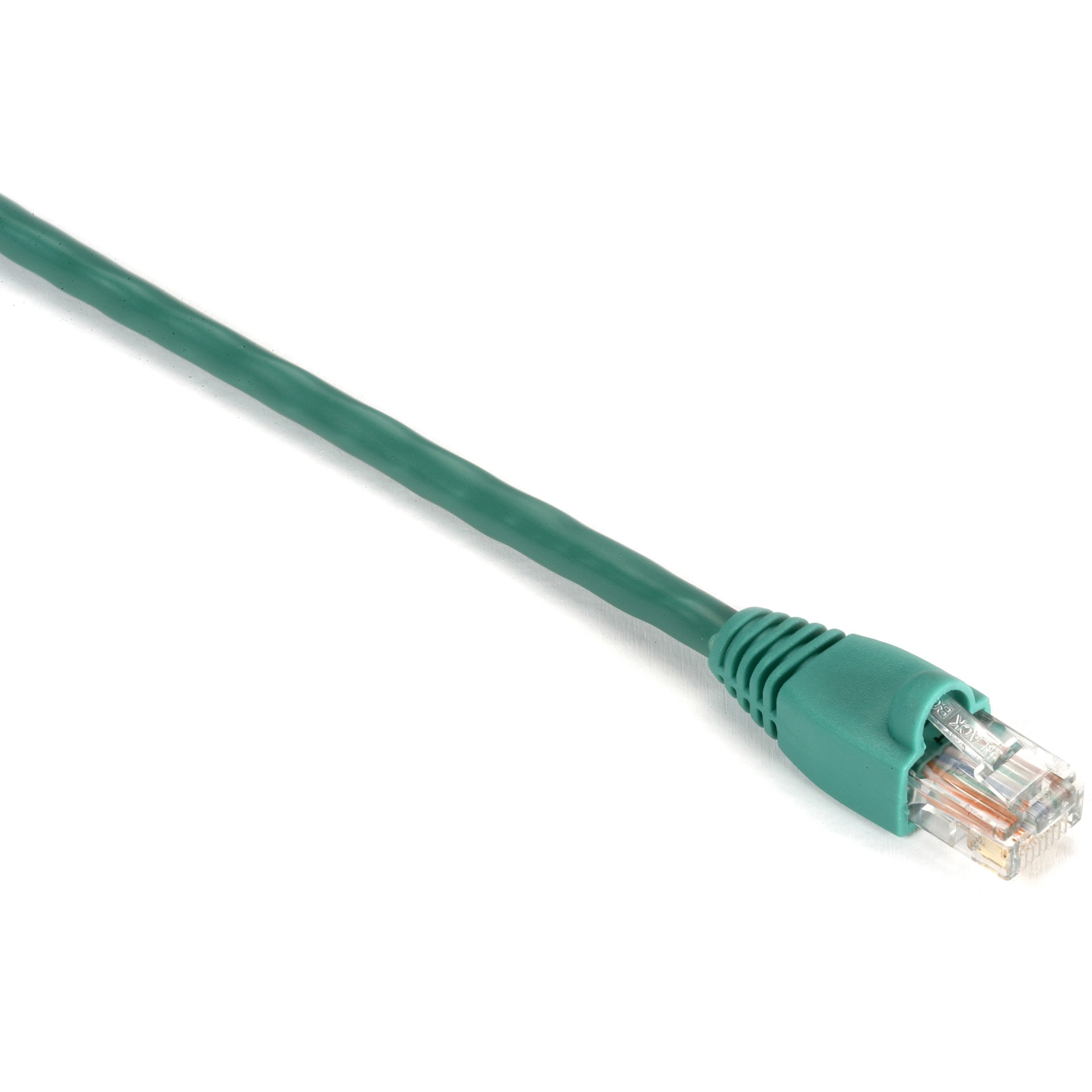 Black Box GigaBase Cat.5e UTP Patch Network Cable - 1 ft Category 5e Network Cable for Patch Panel, Wallplate, Network Device - First End: 1 x RJ-45 Network - Male - Second End: 1 x RJ-45 Network - Male - 1 Gbit/s - Patch Cable - Gold Plated Contact - CM - 24 AWG - Green - 1 Each